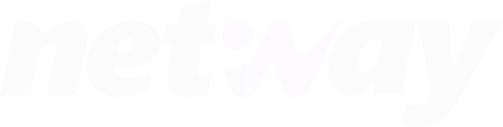 LOGO NETWAY - BRANCA