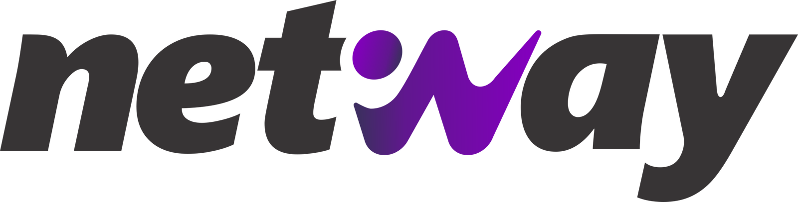 LOGO NETWAY (1)